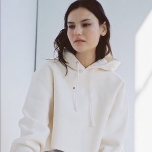 Champion UO cropped hoodie
